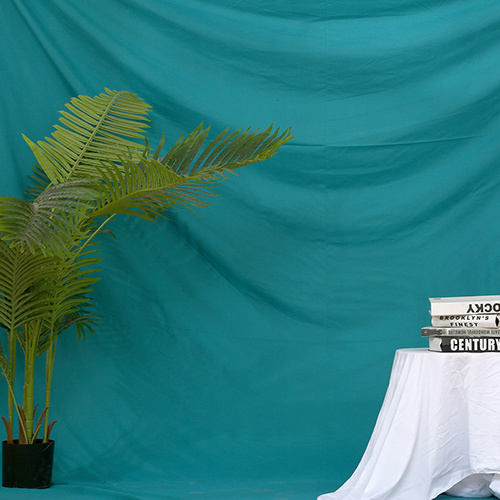 网红摄影背景墙背景挂布ins装饰道具拍摄单色拍照背景布|雪松绿送钉