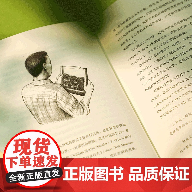 博物学家 爱德华威尔逊自传 张辰亮荐书 生物多样性主题的重要参考读物 中信出版社图书 正版高清大图
