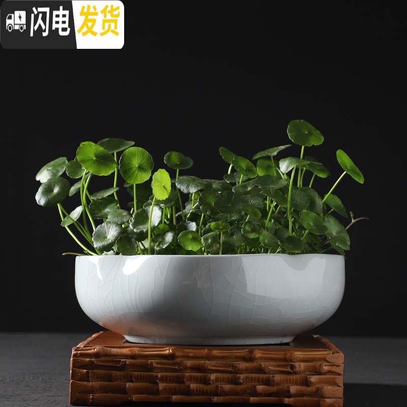 三维工匠水仙花盆陶瓷大口径无孔铜钱碗莲一叶莲室内大号水培盆 图片款式两个一组 大花盆容器高清大图