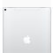 苹果(Apple) iPad pro 新款12.9英寸平板电脑 银色64GB WLAN版MQDC2CH/A