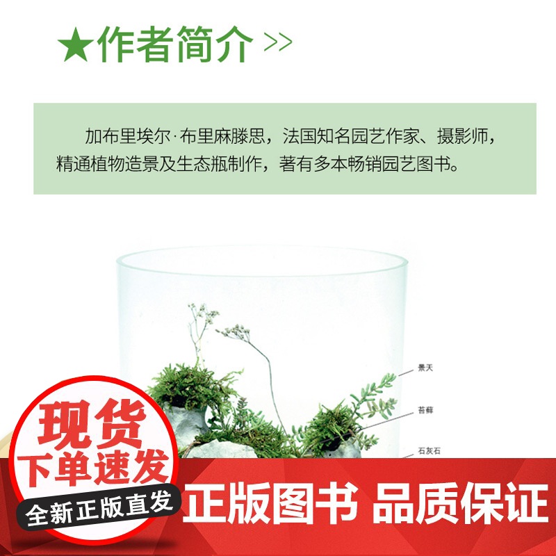 绿手指园艺书籍 :迷你生态瓶高清大图