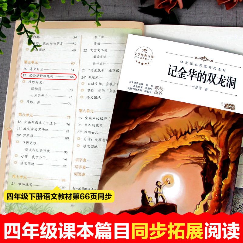 记金华的双龙洞 [正版]记金华的双龙洞叶圣陶著四年级下册课外书人民教育出版社配套阅读北方妇女儿童出版社4四年级下册课文作