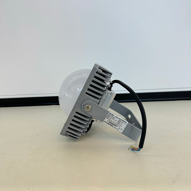 RECEN 固定式LED灯具 RGPL221-50W 个高清大图