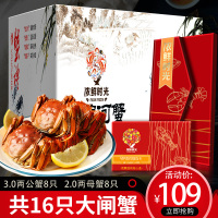 【礼券】浓鲜时光盘锦河蟹礼券礼品卡大闸蟹提货券稻田蟹活蟹礼盒装988型母蟹2.0两/只公蟹3.0两/只共16只