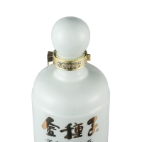 金种子 种子酒十年 40度 418ml 盒装 浓香型 白酒
