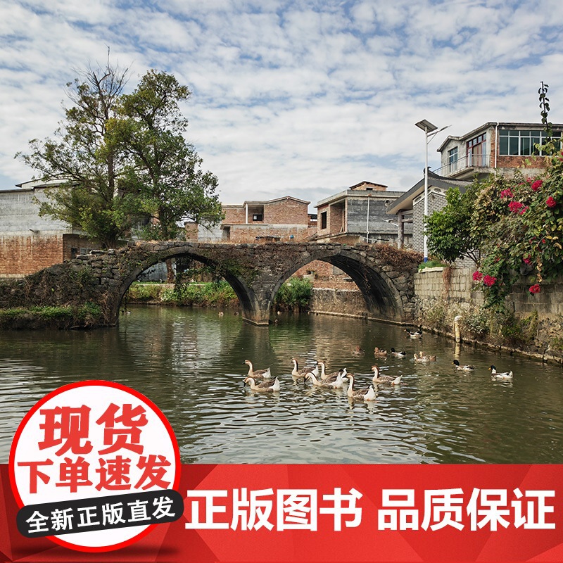 仫佬银家——河池中石村(广西村落文化丛书)高清大图