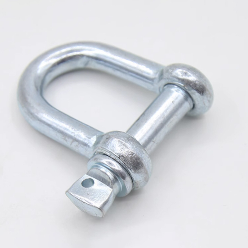 顺心捷 D型卸扣 M22 个高清大图