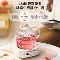 小浣熊养生壶办公室煮茶壶家用迷你煮茶器多功能玻璃烧水壶 白色1L