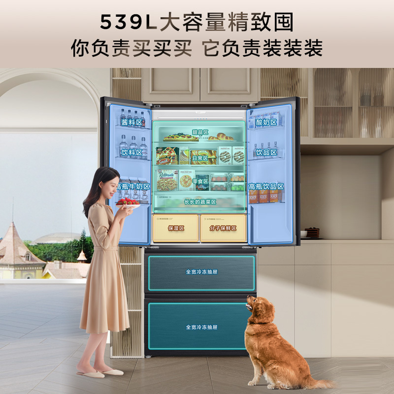 TCL 539升法式四门超薄零嵌入式冰箱分子保鲜一级节能变频多开门风冷无霜电冰箱家用大容量底部散热R539T9-DQ