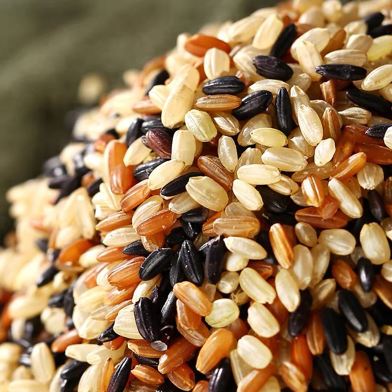 新三色糙米红米黑米糙米粗粮胚芽饭五谷杂粮500g*2袋装高清大图