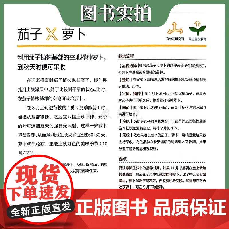 图解蔬果伴生栽培优势与技巧 蔬菜栽培种植技术书籍 蔬菜伴生栽培模式 蔬果栽培搭配 常见蔬菜伴生表机械工业出版社高清大图