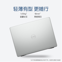 戴尔（DELL）灵越5493 十代新品 I5-1035G1 窄边框14英寸手提出差轻薄便携学生办公学习上网笔记本 超级本 8GB 256GB Pcie固态 集显 定制版