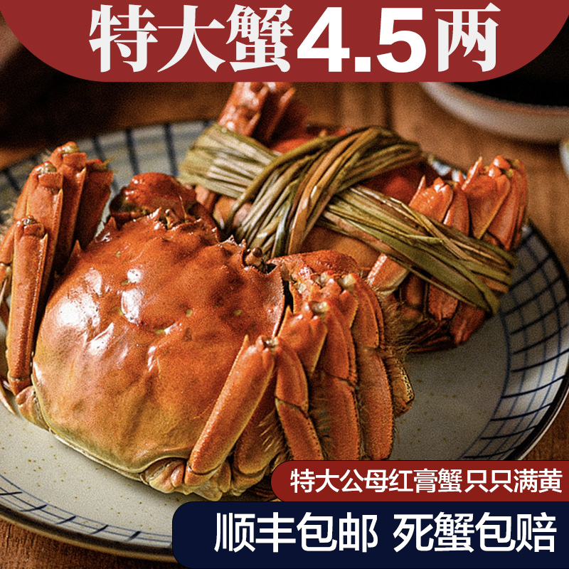 [活蟹]自然译鲜活螃蟹 精品红膏生鲜大闸蟹 公4.0-4.5两 母3.0-3.5两 5对10只装