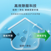 多乐士(Dulux)森呼吸淳零无添加竹炭全效护敏儿童漆乳胶漆内墙面漆 油漆涂料 A8207+931套装 15L 哑光白色