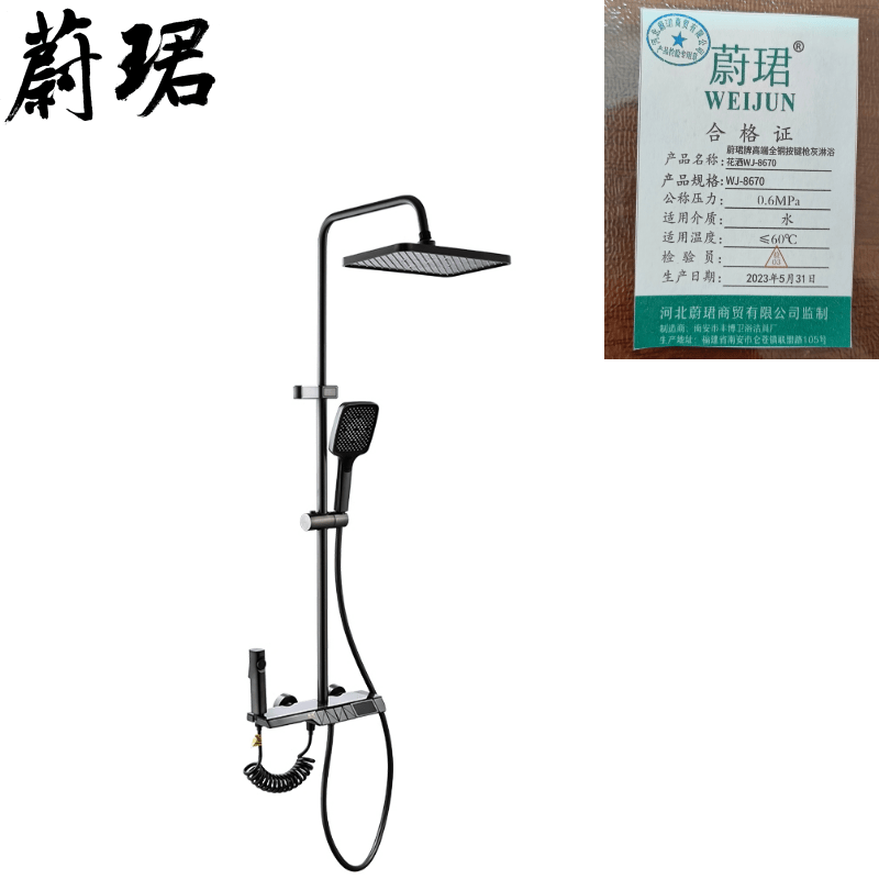 蔚珺牌高端全铜按键枪灰淋浴花洒WJ-8670个高清大图