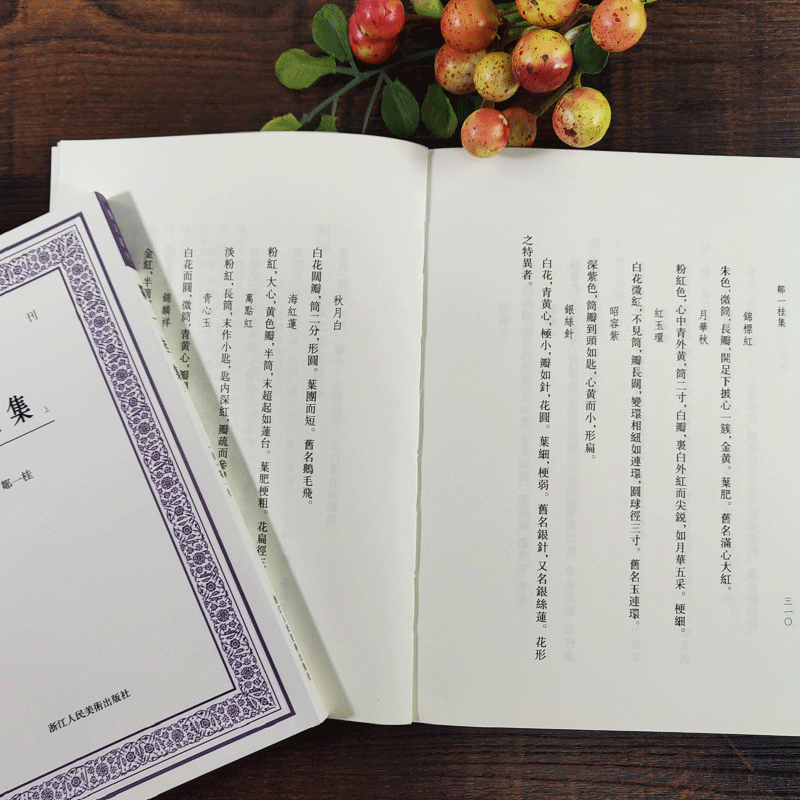 [正版]邹一桂集 中国艺术文献丛刊高清大图