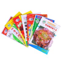 逍遥四季小香葱种子四季播农家菜种子阳台盆栽葱籽易种蔬菜籽小葱种子