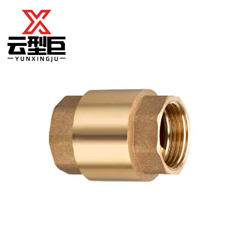 云型巨 铜立式止回阀单向阀 DN20 个高清大图