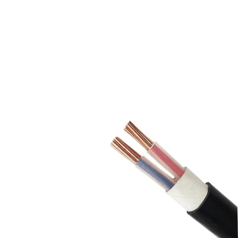 铜芯铠装电力电缆 YJV22 2*4 米高清大图