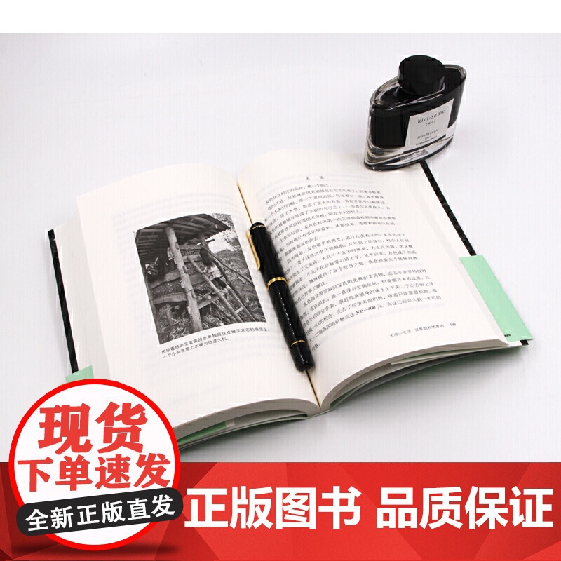 青苔不会消失 袁凌著 只要世上还有一个穷人 袁凌 著 柴静、胡舒立 12个惊心动魄的灵魂故事 现代文学书高清大图