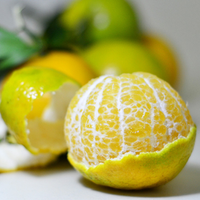 广东德庆皇帝柑贡柑年货柑橘25kg新鲜水果