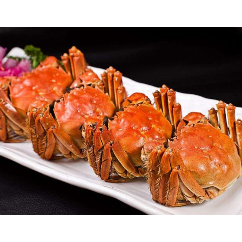 YANGCHENG LAKE HAIRY CRABS 阳澄湖大闸蟹4对688型