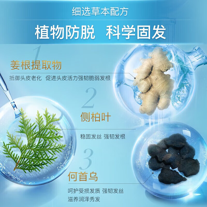 阿道夫 姜护理专研洗发水(防脱育发)300ml 单瓶装高清大图