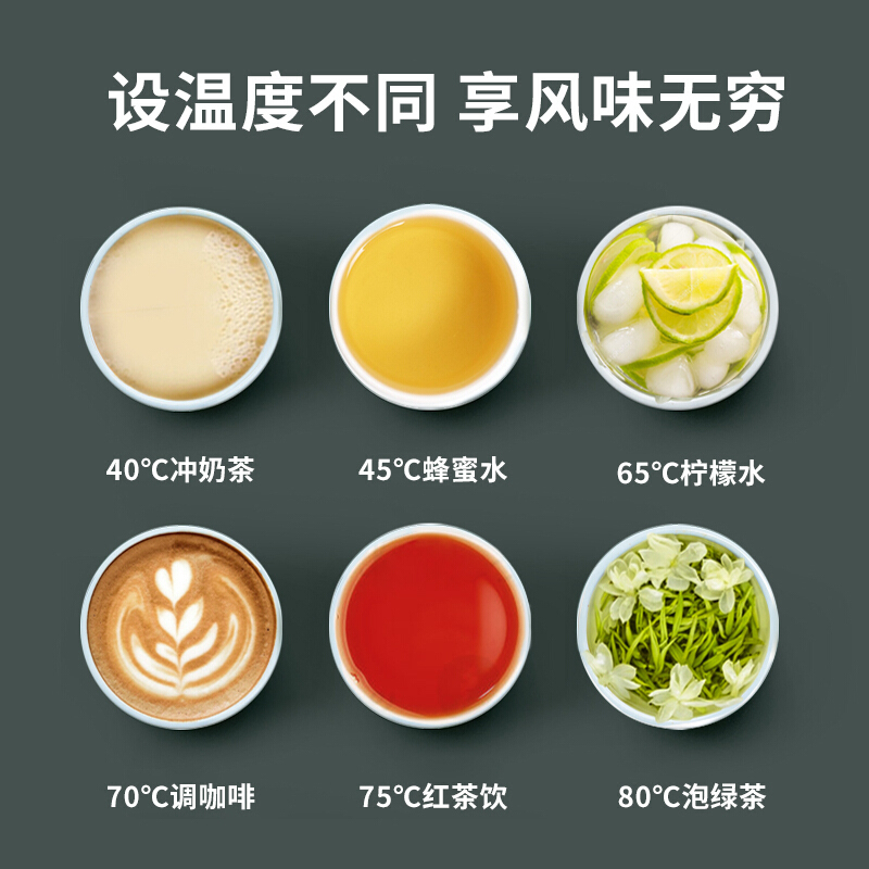 大宇(DAEWOO)电水壶D2