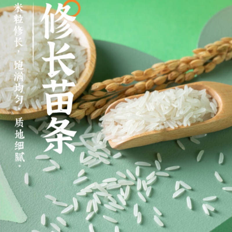 隆平农场 大米 洞庭虾稻米十斤 长粒丝苗米南方米湖南米 籼米10斤装高清大图