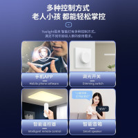 Yeelight易来智能LED吸顶灯韶华客厅卧室灯调光调色语音遥控米家APP控制智能吸顶灯