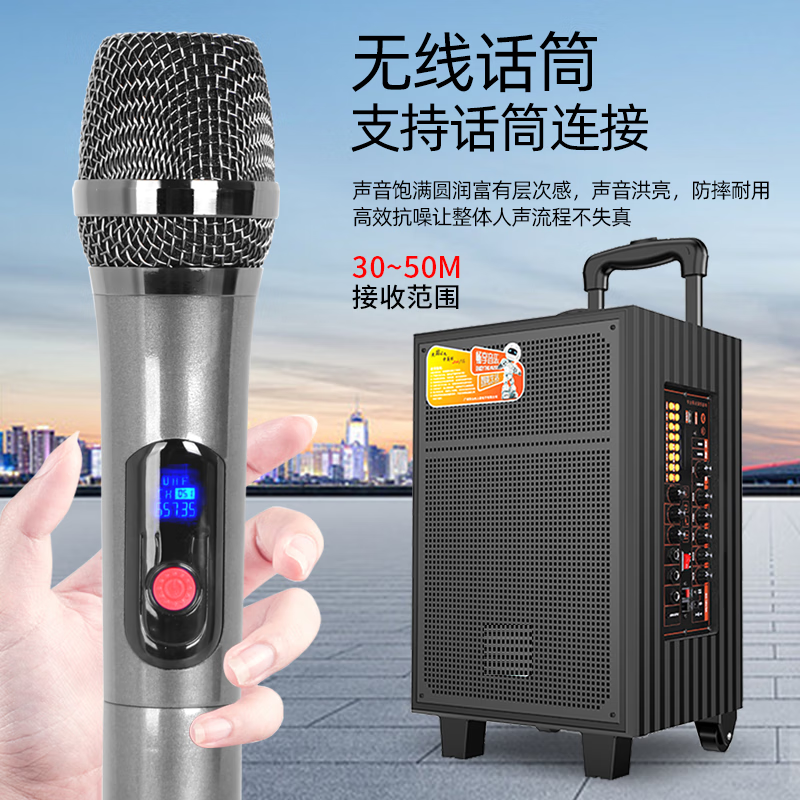 山水音响广场舞拉杆音响大音量高档三分频音箱 便携式户外专业演出蓝牙音响 家用K歌重低音 3101(BY)/个