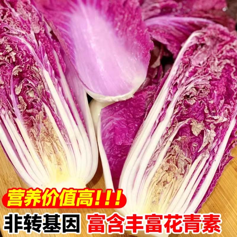 紫苏 寿禾紫妃 5g/袋高清大图