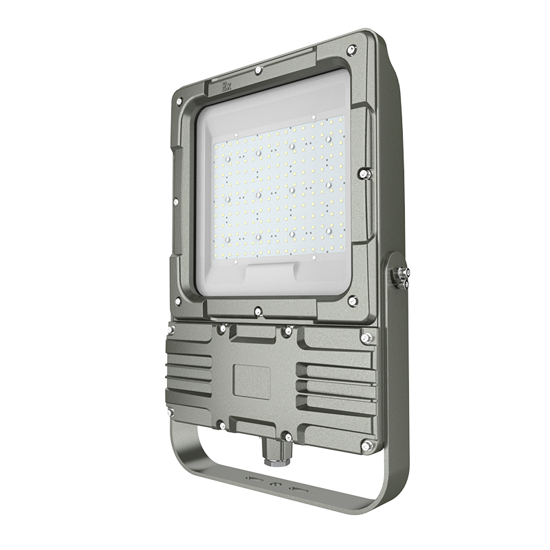 欧辉照明 (OHUIZAOMIN) OHBF9193-200W LED防爆灯高清大图