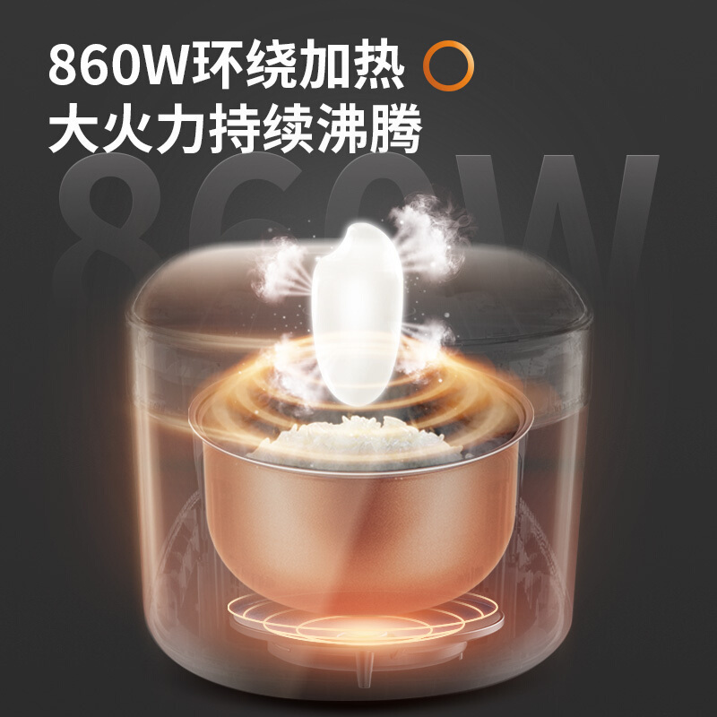 九阳(Joyoung)电饭煲家用电饭锅5L升大容量智能预约多功能电饭锅5-6-8人JYF-50FS69-F