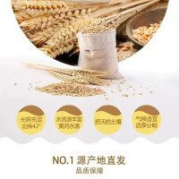 内蒙古河套家用粉2.5kg 馒头面条饺子内蒙特产 新老包装 随机发货