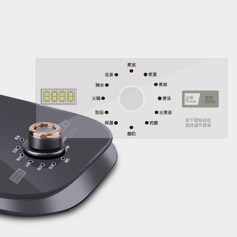 迪洛仕可定时多用养生壶DLS-R0305