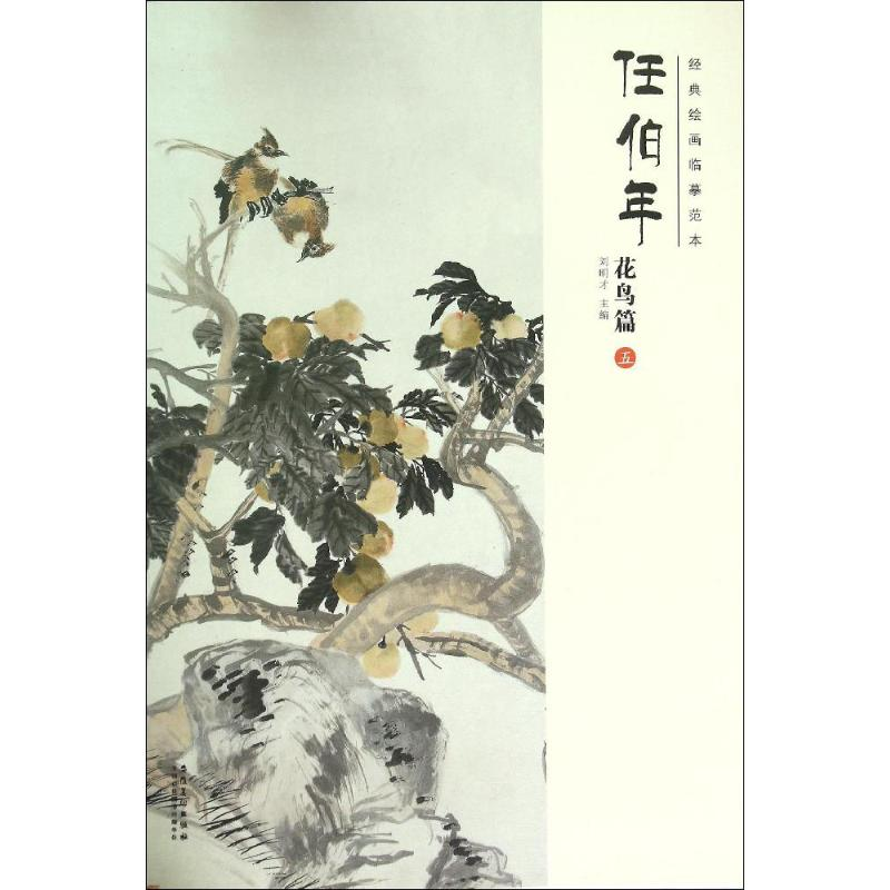 醉染图书经典绘画临摹范本9787539858043高清大图