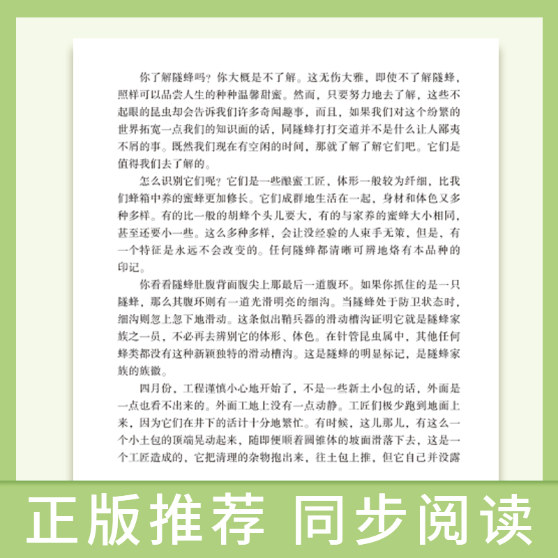 [醉染正版]初中语文配套阅读--昆虫记 初中八年级初高中学生阅读经典世界名著青少年版课外阅读儿童文学 青少年益智认知经典高清大图