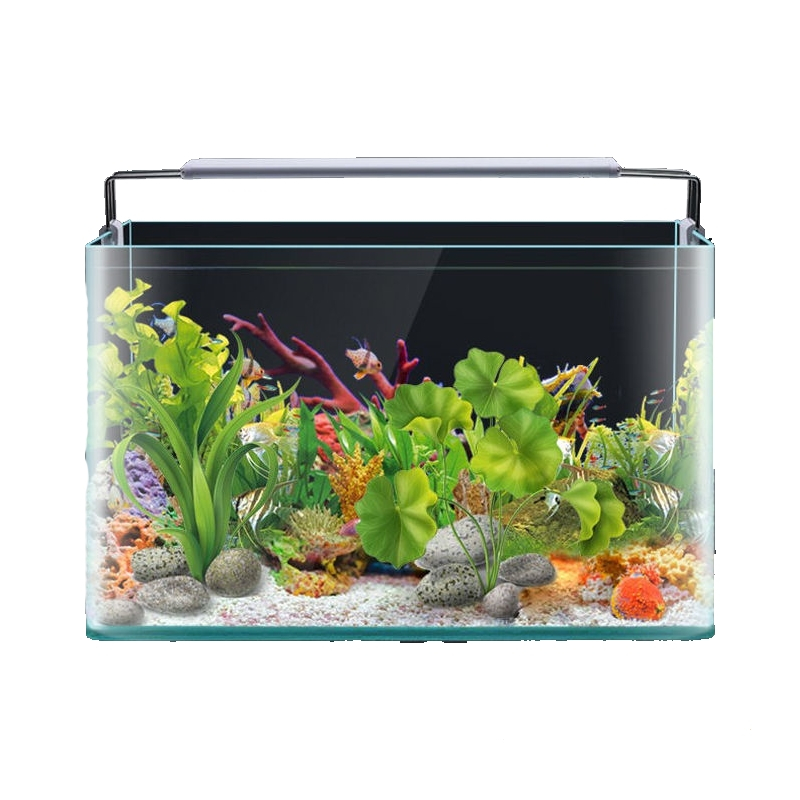 热弯玻璃鱼缸米妮客厅小型水族箱桌面家用金鱼斗鱼水草造景生态裸缸