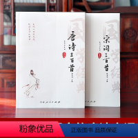 [正版]注音版唐诗宋词全译唐诗三百首全集唐诗宋词三百首 唐诗宋词元曲全集鉴赏辞典中国古诗词全集中小学生注音版少年上书