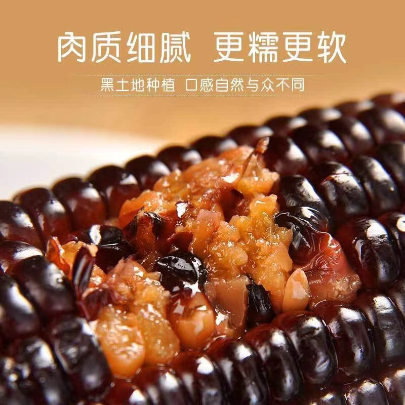 谷本粮农 黑糯小玉米14根约2.4kg 非转基因杂粮鲜食粘糯黑玉米棒