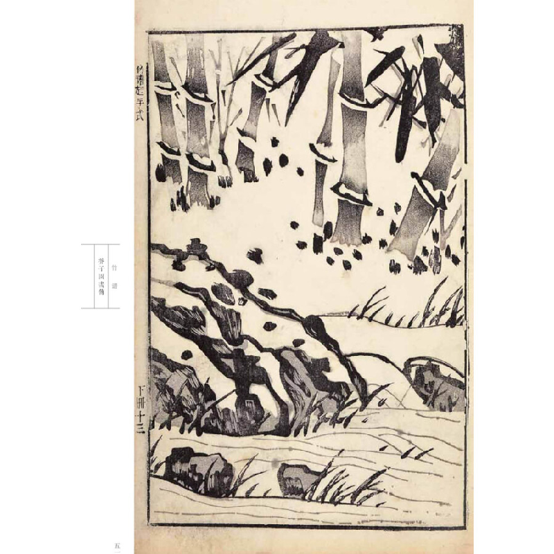 正版新书]芥子园画传 花鸟卷·竹谱(康熙原版)[清] 王概,王蓍高清大图