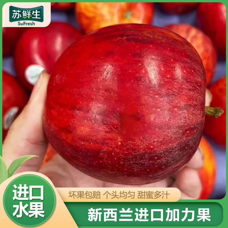 [苏鲜生]新西兰进口gala加力苹果 12粒装 单果140g-160g皇后甜脆苹果苹果1