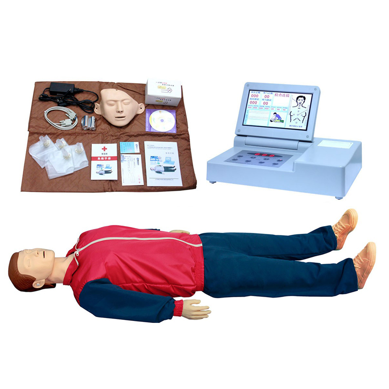沪模HM/CPR心肺复苏模拟人医学教学模型 HM/CPR690标配/全身皮箱装
