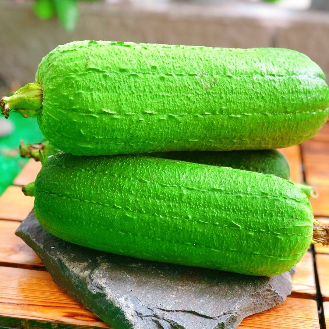 肉丝瓜 新鲜蔬菜台湾短棒肉丝瓜农家无公害有机孕妇下奶现摘现发参数