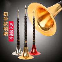 精制初学者唢呐乐器全套乌木唢呐d调成人大小号专业唢呐