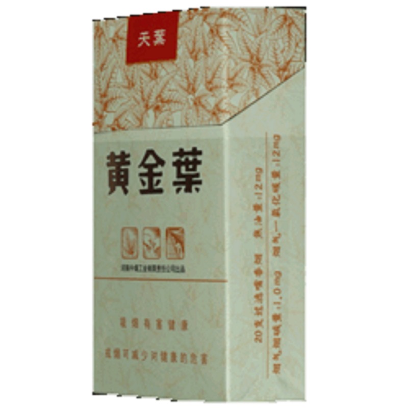 黄金叶(天叶)
