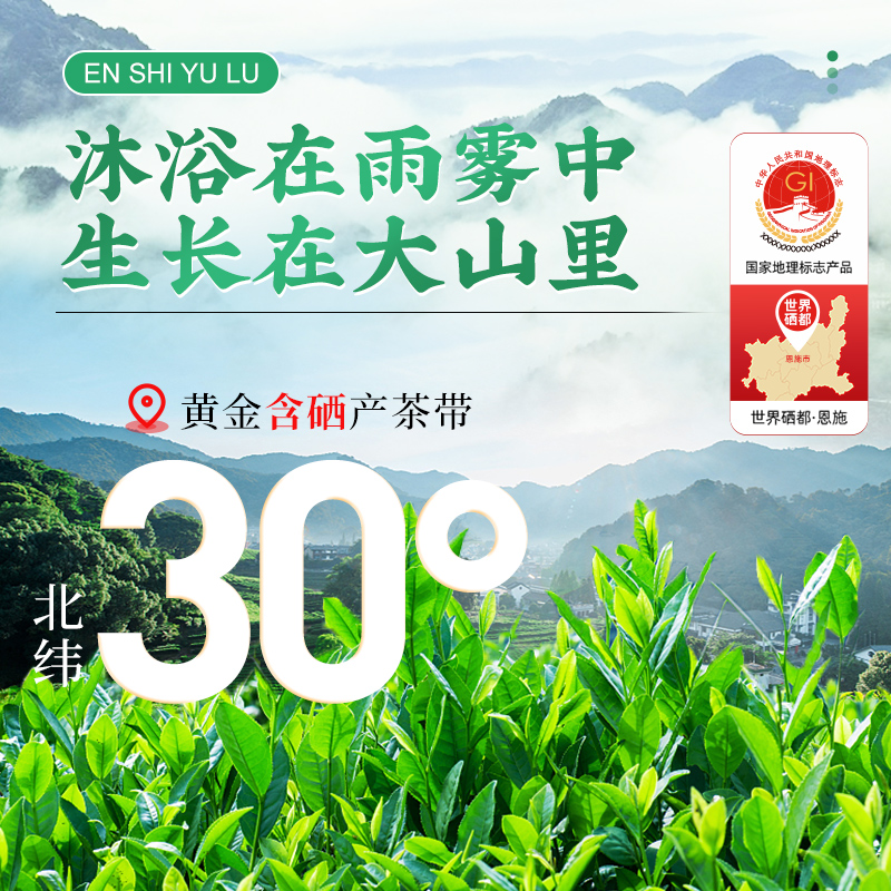 茶马世家一级恩施玉露游龙礼盒108g 明前春茶独立小袋装新茶非遗蒸青绿茶叶礼盒装高清大图