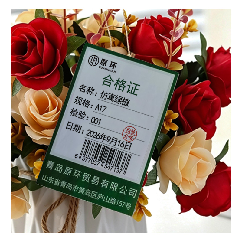 原环 仿真绿植 个 A17
