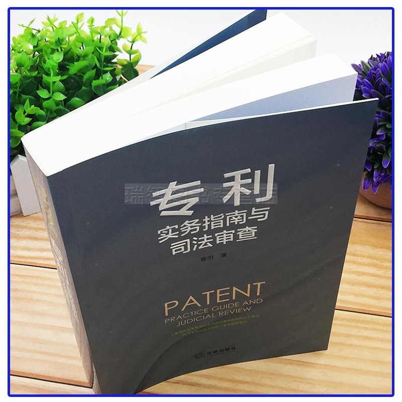 [正版] 实务指南与司法审查 曹阳 制度 法司法实践 功能 从业人员参考书工具书 法律出版社 978751972653